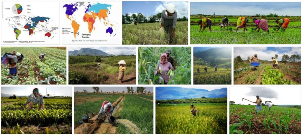 Agriculture in Developed and Underdeveloped Countries
